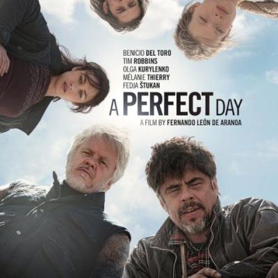 Perfect Day Album Cover